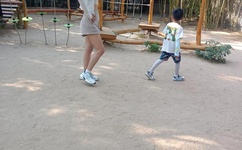 欧美性videos高清精品